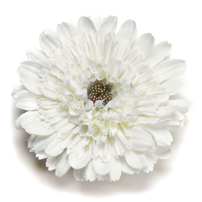 Drew B. White Gerbera Daisy Pin & Clip, 4"