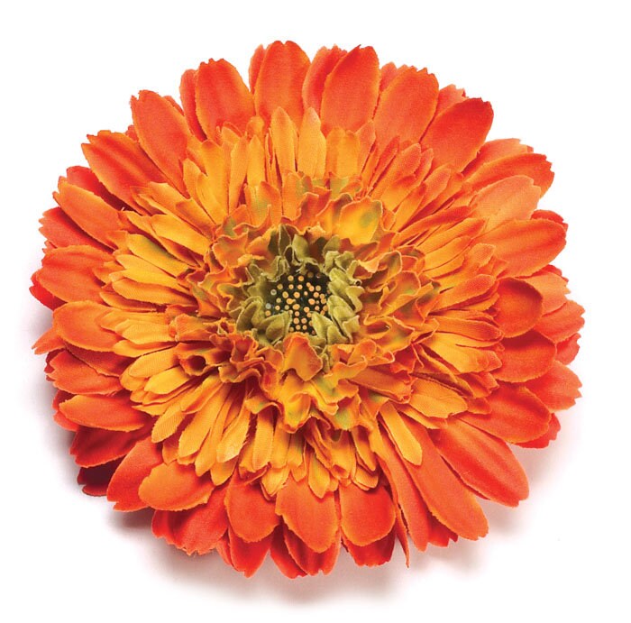 Drew B. Orange Gerbera Daisy Pin & Clip, 4"