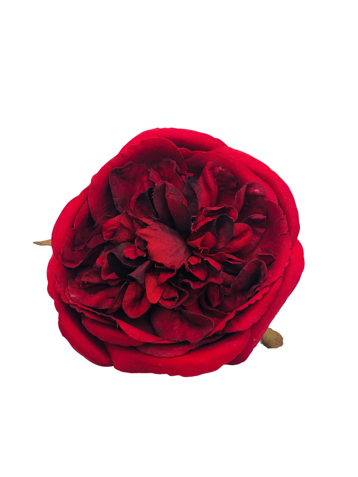 Elizabeth Red Cabbage Rose Brooch & Clip, 4"