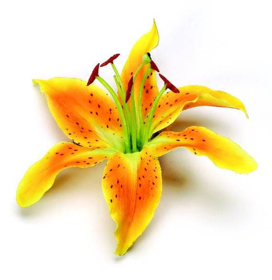 Karin's Garden 3" Life like Tiger Lily pinch clip.  Wear in your hair on your tropical vacation.  Clip to your sundress or hat.  Life like