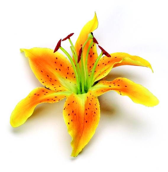 Martha Yellow Tiger Lily Pinch Clip, 3"