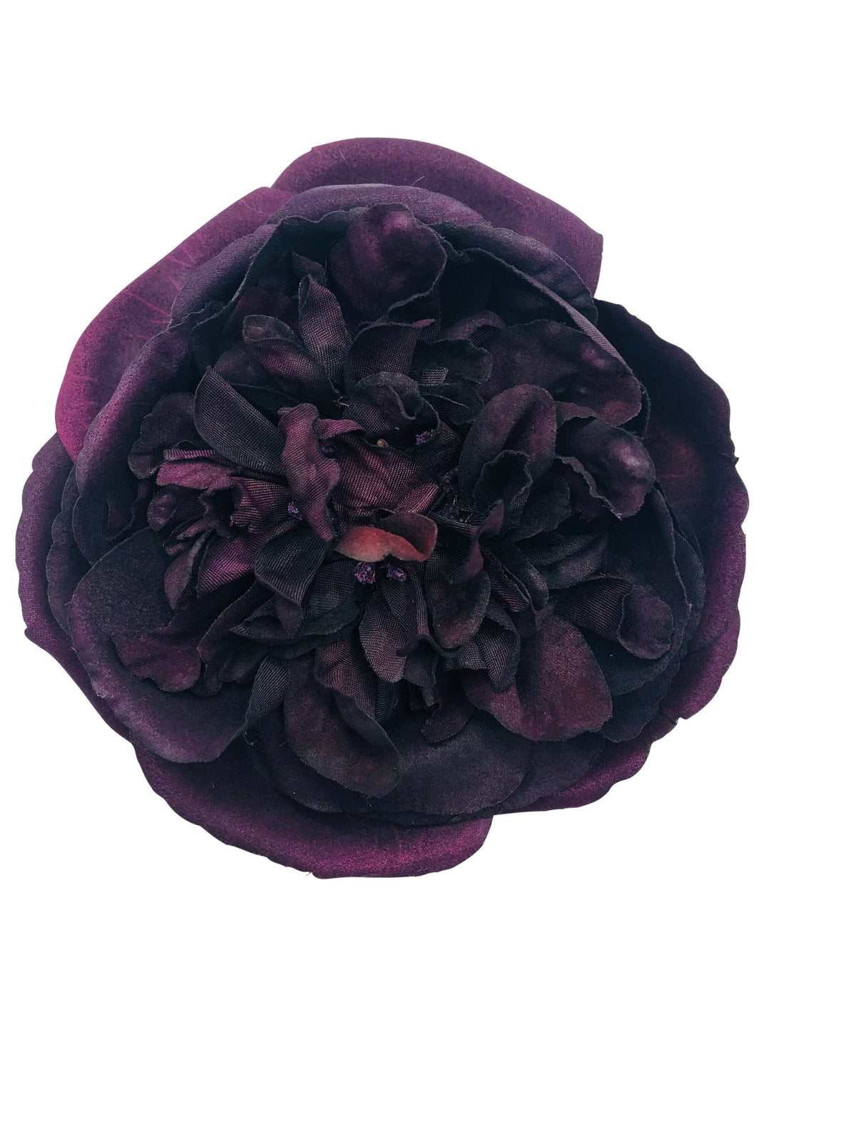 Elizabeth Purple Cabbage Rose Brooch & Clip, 4"