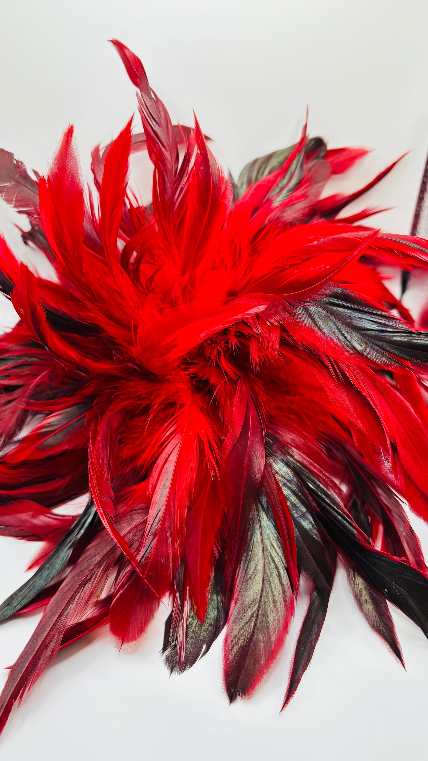“Abracadabra” Red & Black Feather Brooch & Clip.  12" Pin or Clip to lapel, dress, blazer, clip onto wrist elastic, jacket, handbag, hair, hat and more.