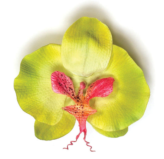 Stella Lime Phalaenopsis Orchid Clip. Handmade in the USA As Seen In: Cosmopolitan Magazine