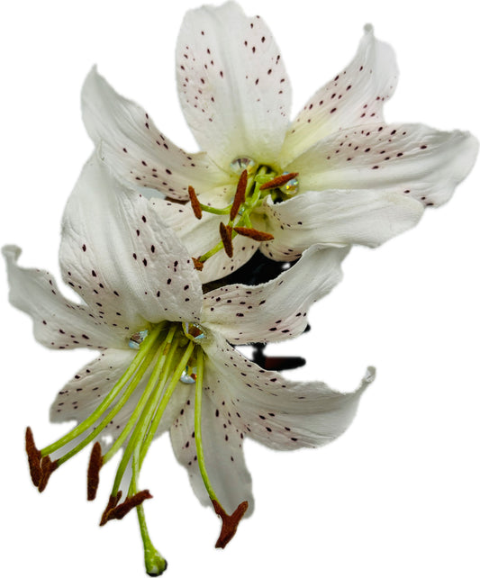 Karin's Garden "Ophelia" White 4" Tiger Lily French Jaw Clip.  Hair Clip.  Flower Hair Accessory.  Made in the USA.  Life Like Lilies