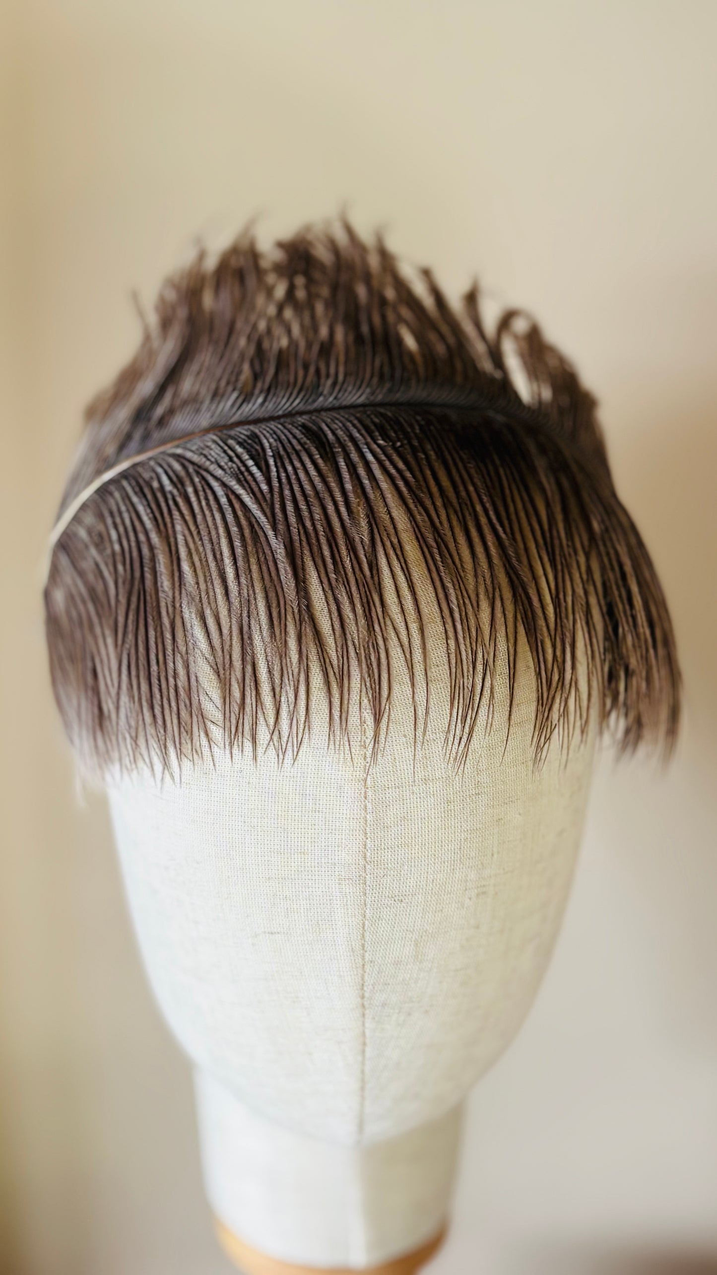 Karin's Garden Ostrich Feather Silk Headband.  Handmade in the USA