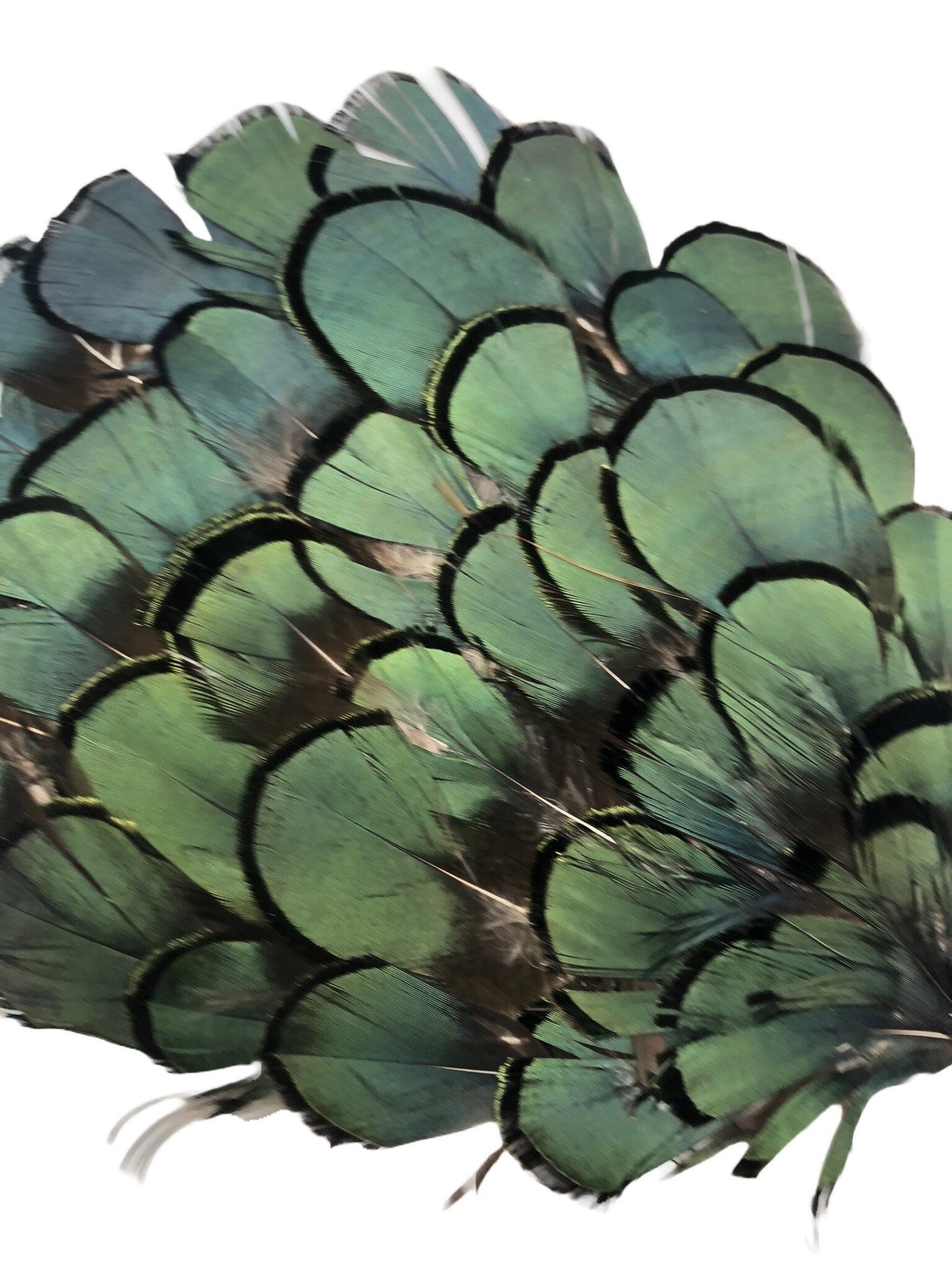 Garbo Feather Couture Headband in Green Black