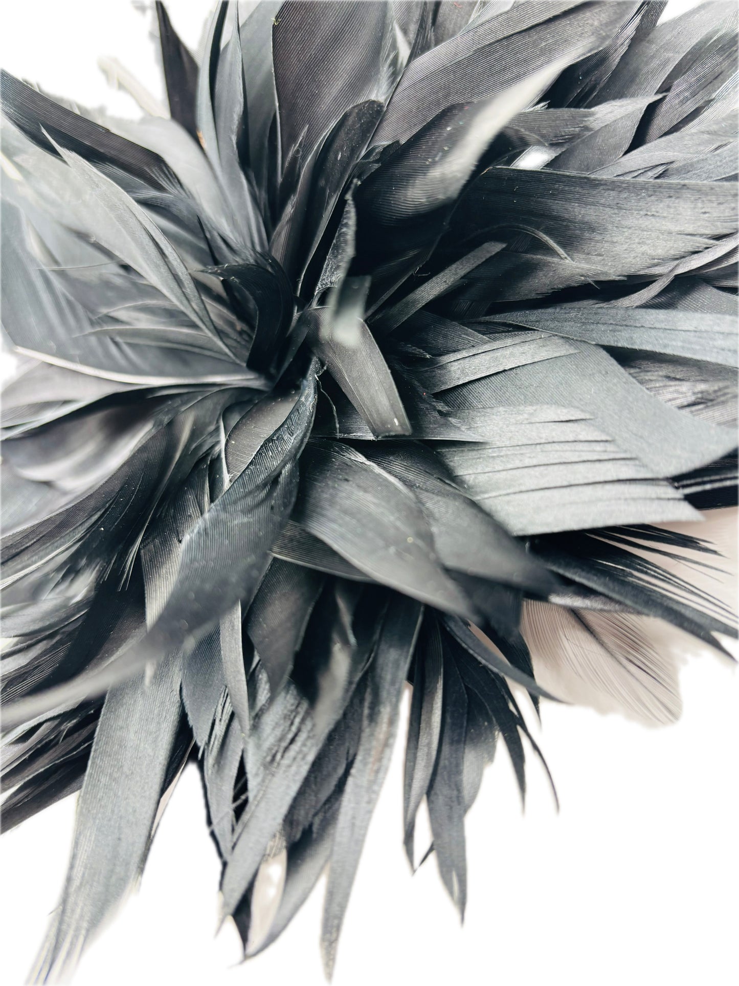 "Josephine" Feather Brooch & Clip in Black.  Wear on your lapel, dress, in your hair, on purse, hat and more.