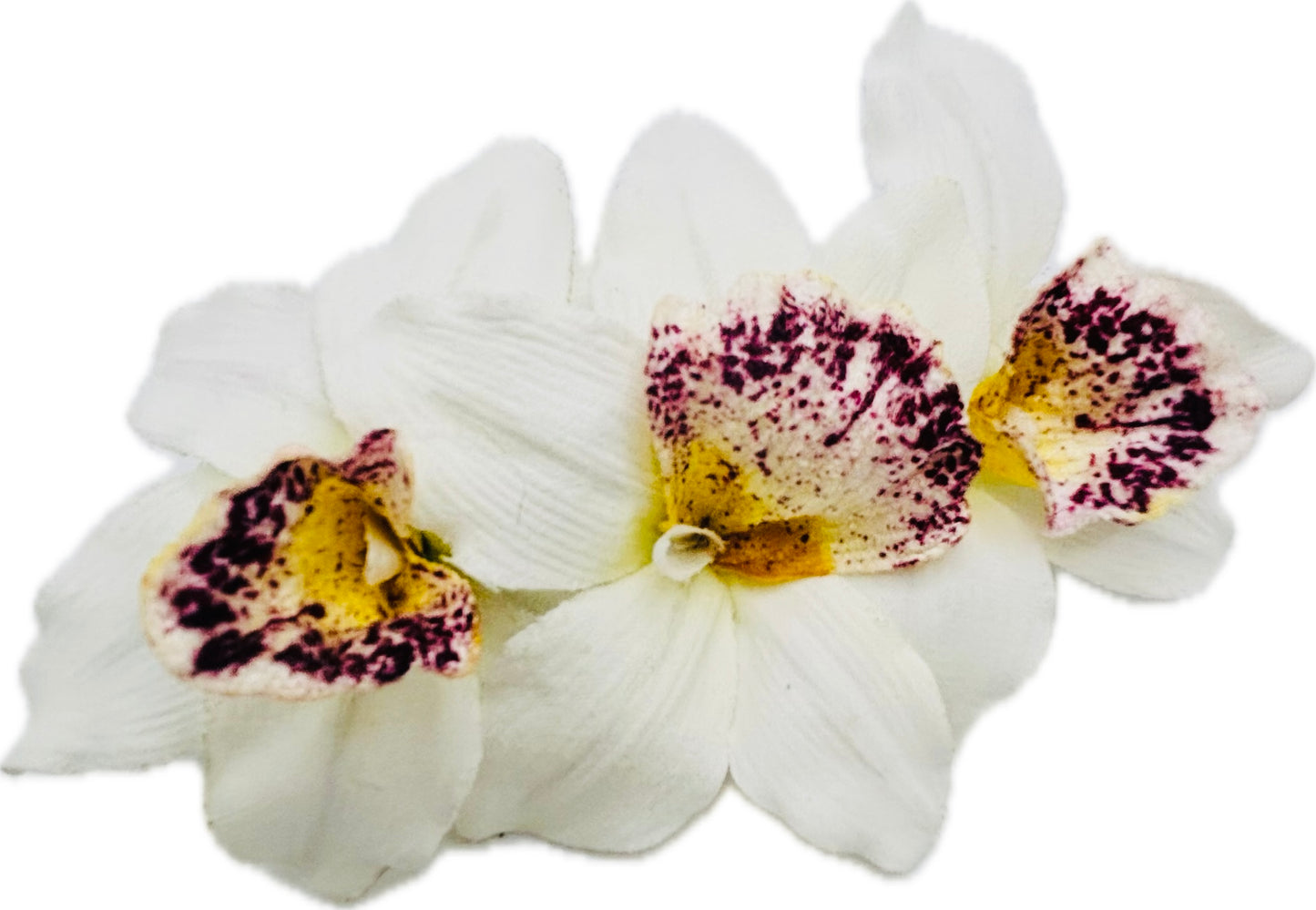 "Margaret" White Mini Vanda Orchids Hair Barrette Clip - Made in the USA - French Barrette