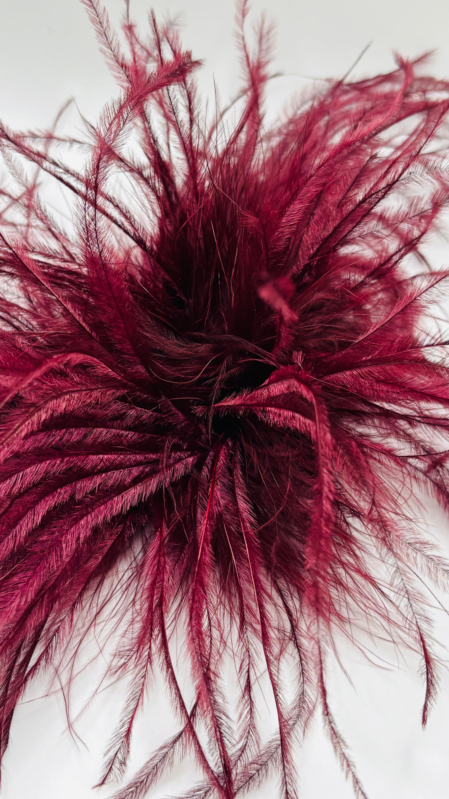 Dietrich Petite Ostrich Pin & Clip in Bordeaux.  Handmade in the USA. Genuine Ostrich. Available in many colors.  Available in Petite or Grand