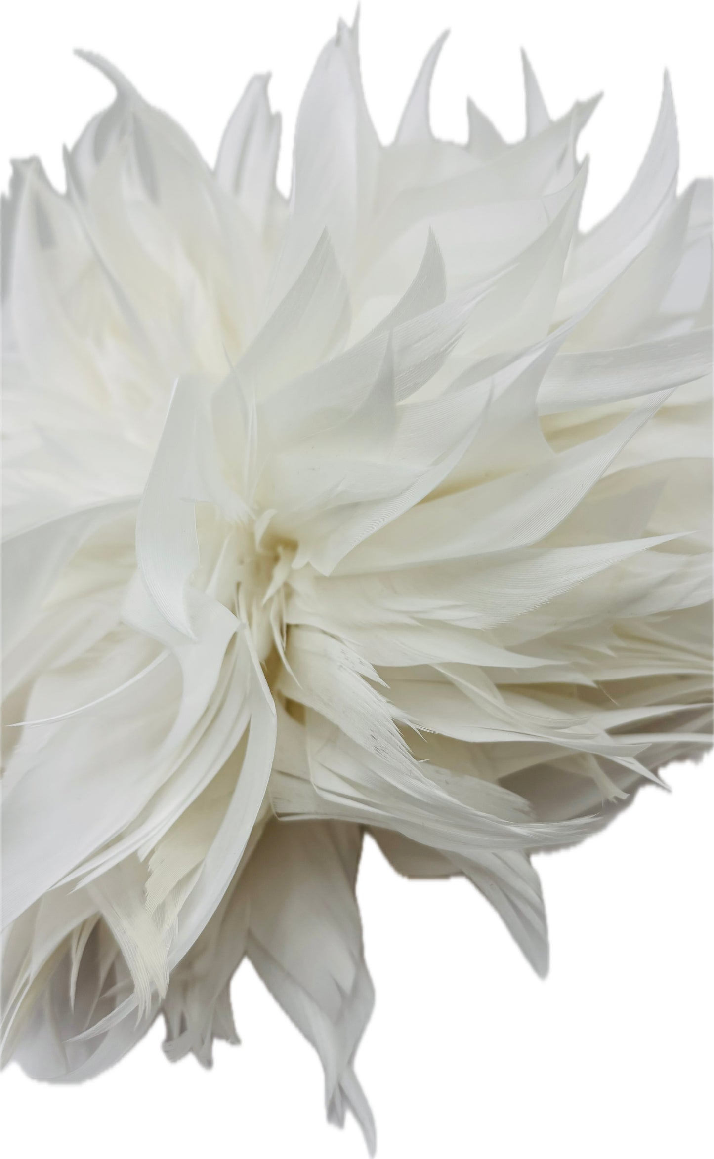 "Josephine" Feather Brooch & Clip in White.  Wear on your lapel, dress, in your hair, on purse, hat and more.