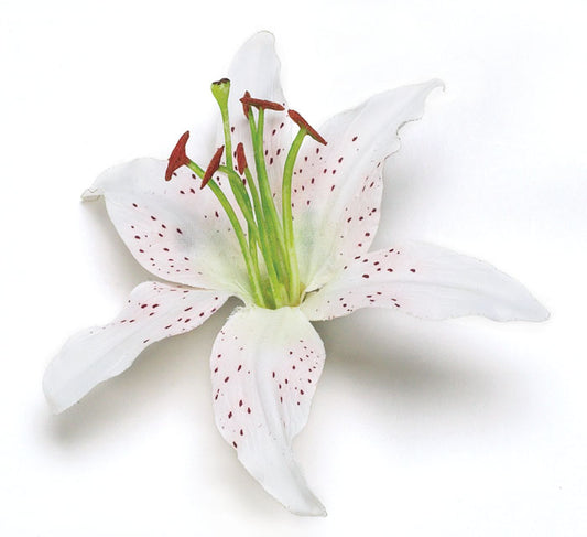 Karin's Garden 3" White Life like Tiger Lily pinch clip.  Wear in your hair on your tropical vacation.  Clip to your sundress or hat.  Life like