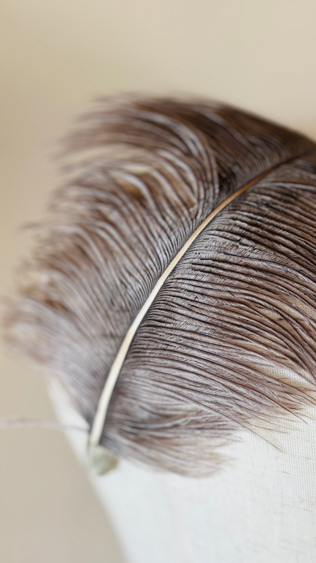Karin's Garden Ostrich Feather Silk Headband.  Handmade in the USA