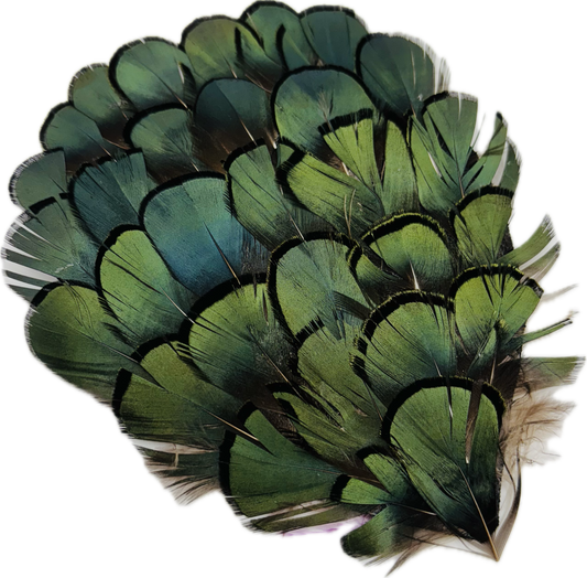 "Garbo" Green Black Feather Feather Pin & Clip.  Pin or Clip onto lapel, dress, onto hair and more