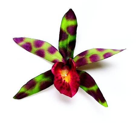 Karin's Garden "Isla" Olive Mini Orchid Clip