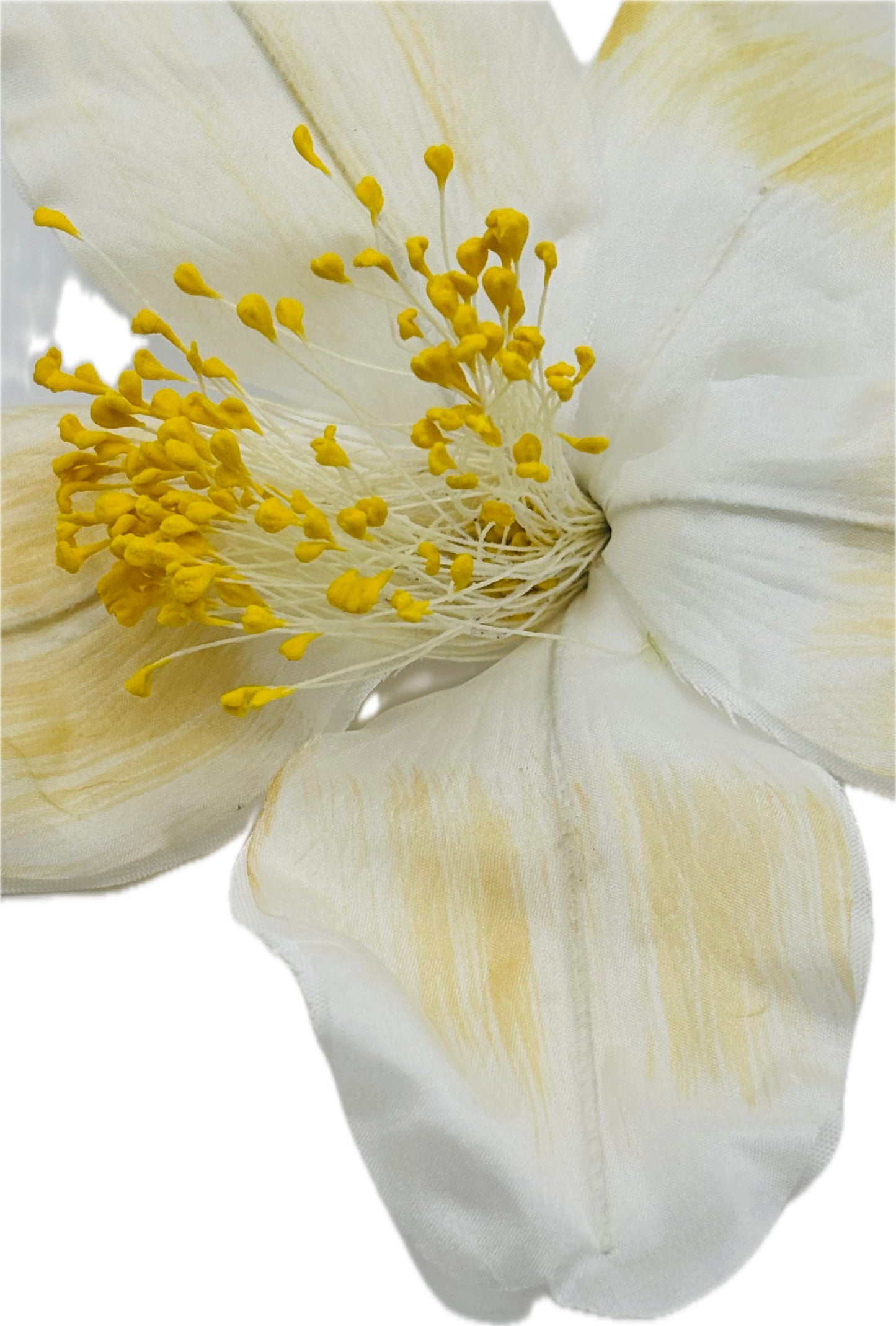 "Clementine" 4" Silk Clematis Ivory Yellow Brooch and Clip. Karin's Garden. Bendable Petals. Pin or Clip into hair, onto dress, lapel, handbag and more.