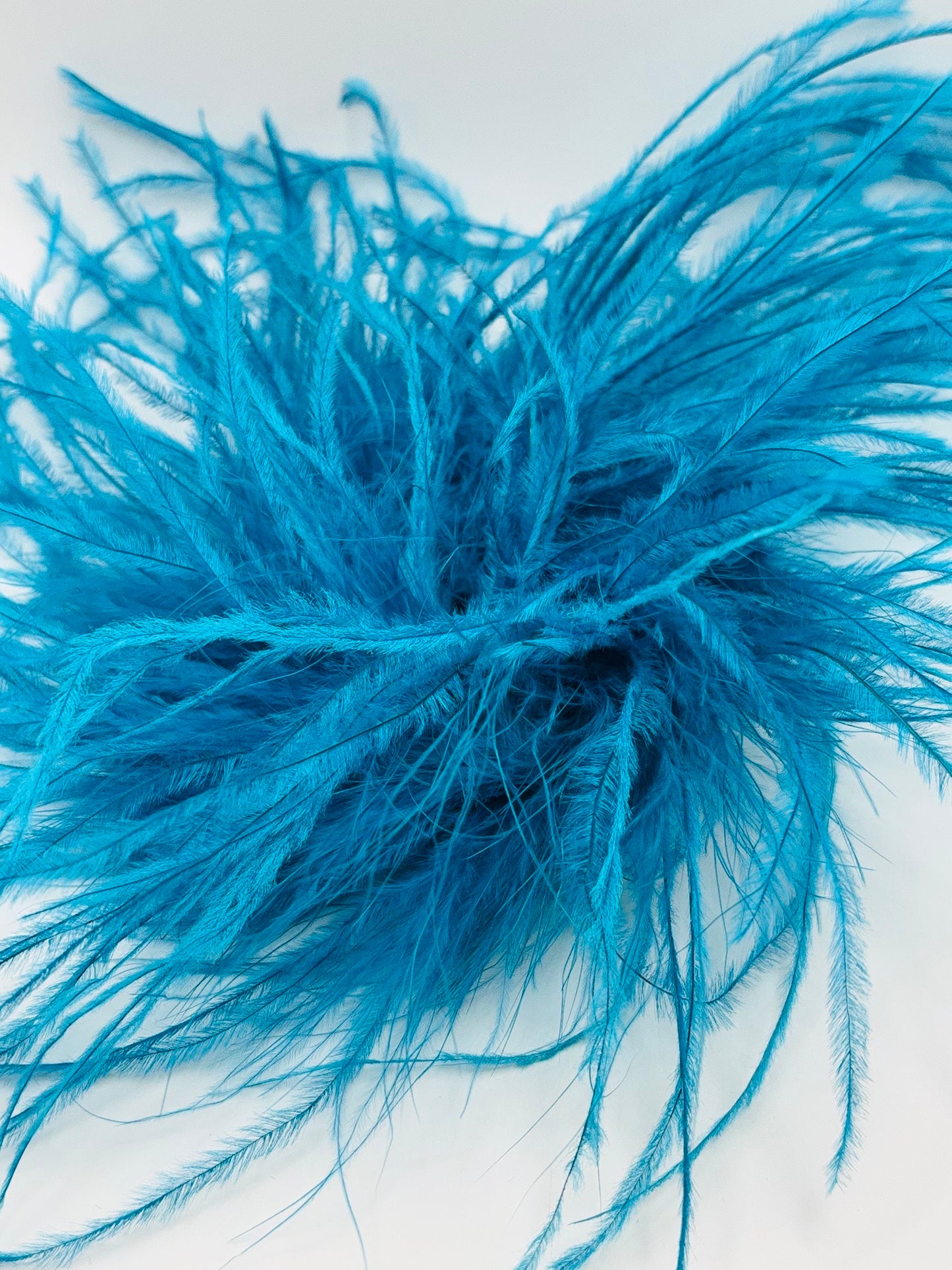 Dietrich Petite Ostrich Pin & Clip in Teal.  Handmade in the USA. Genuine Ostrich. Available in many colors.  Available in Petite or Grand