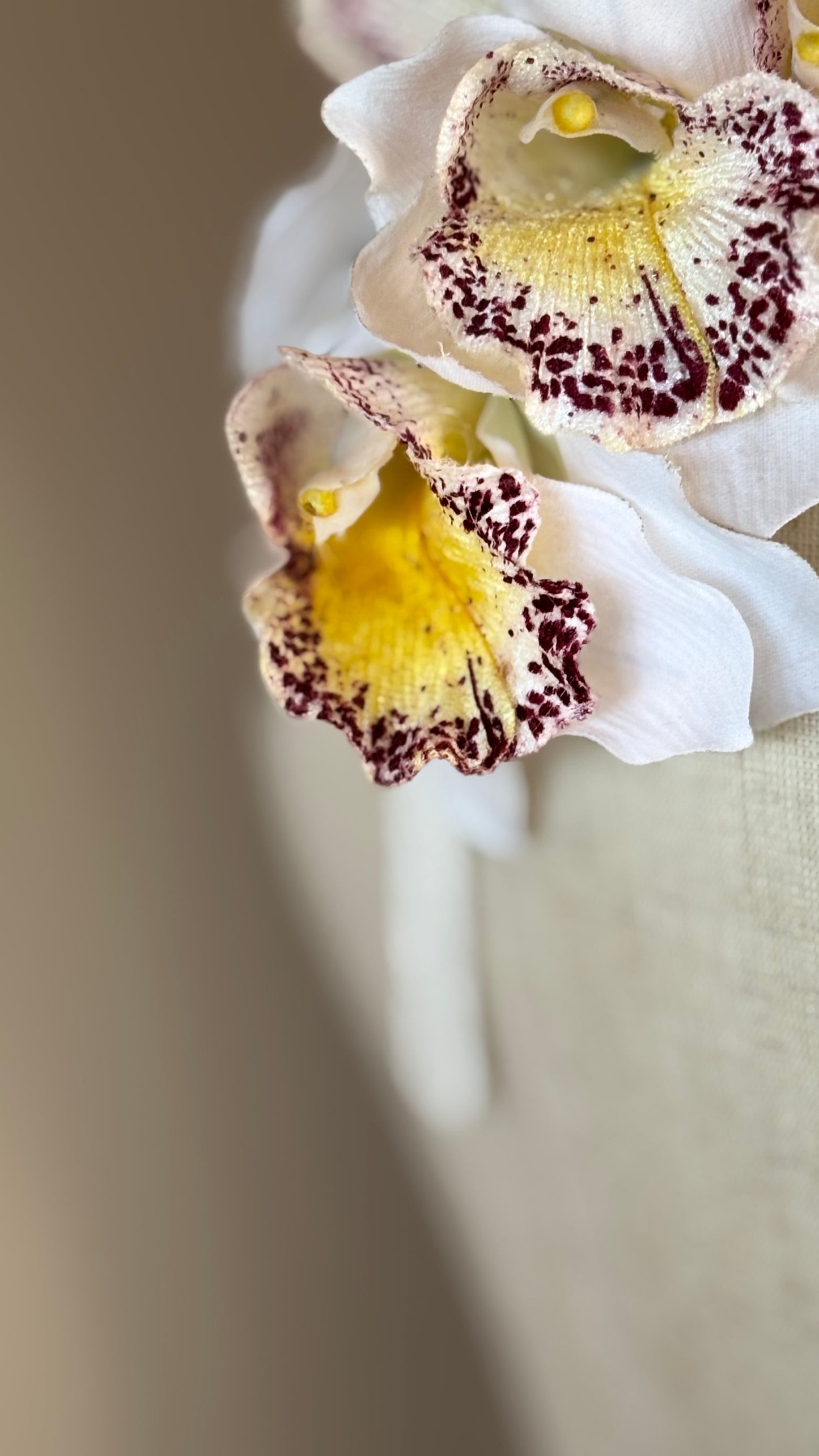 Karin’s Garden “Chloe” Vanda Orchid Headband – Couture Floral Statement Headpiece | Handmade in USA