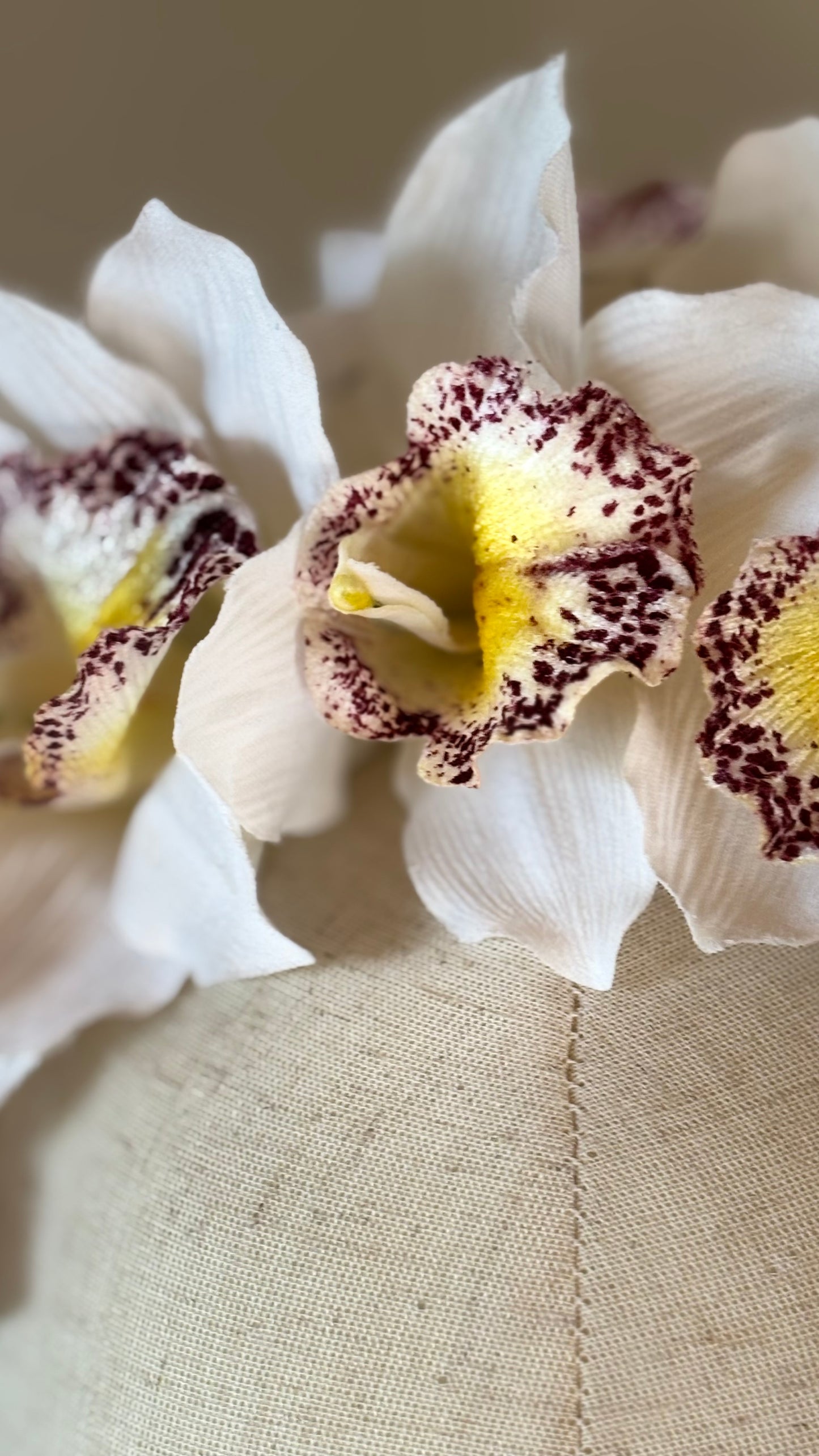 Karin’s Garden “Chloe” Vanda Orchid Headband – Couture Floral Statement Headpiece | Handmade in USA