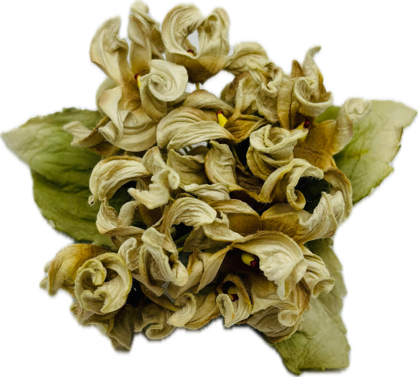 Ivy Hydrangea Flower Pin Brooch Taupe Ivory
