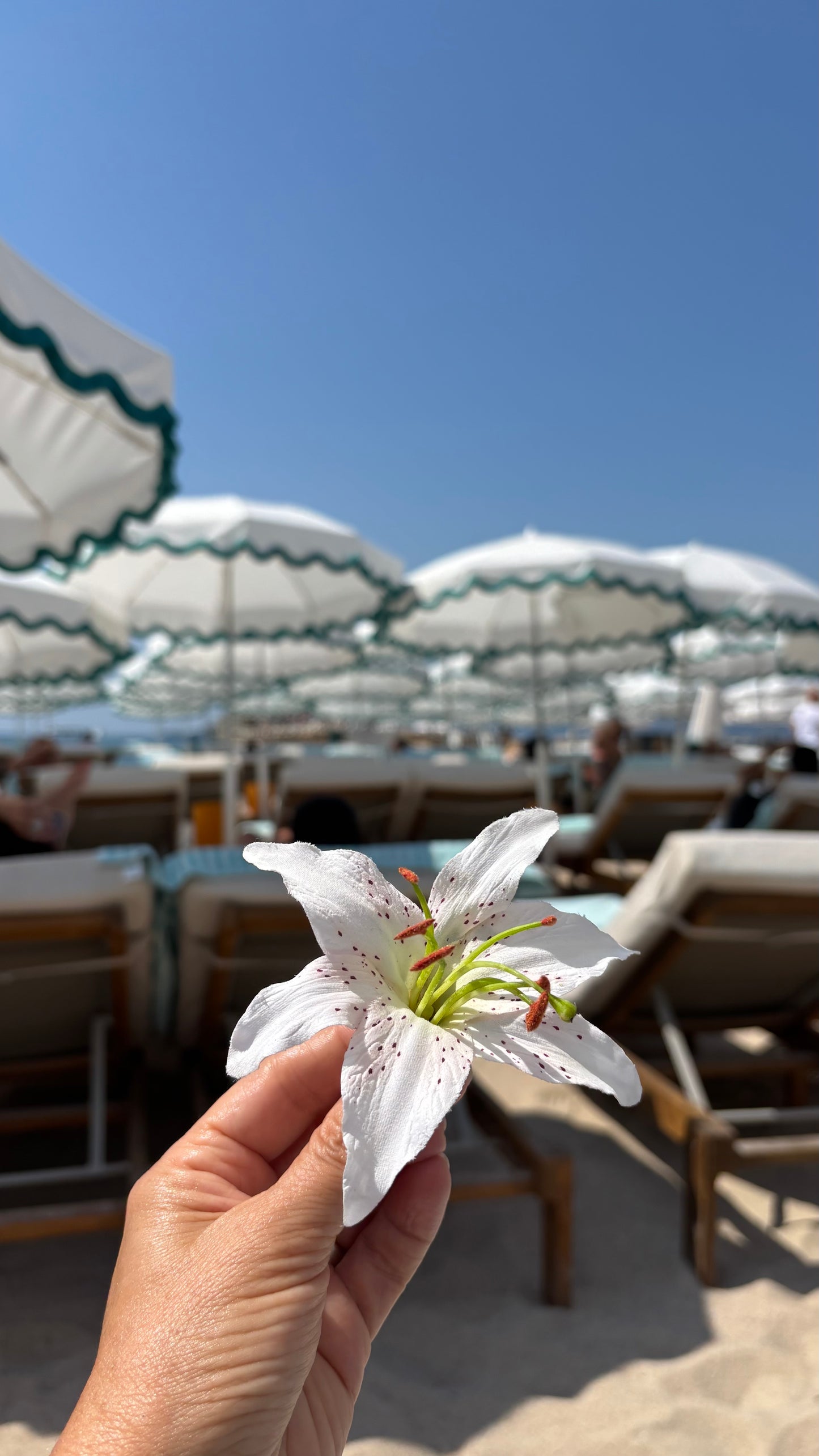 Karin's Garden Martha 3" White Life like Tiger Lily pinch clip.  Wear in your hair on your tropical vacation.  Clip to your sundress, wristlet, handbag or hat.  Life like & bendable petals.