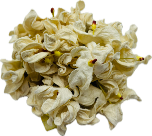 “Esme" Vintage Ivory Hydrangea Pin & Clip 4".  Life Like Hydrangeas. Karin's Garden