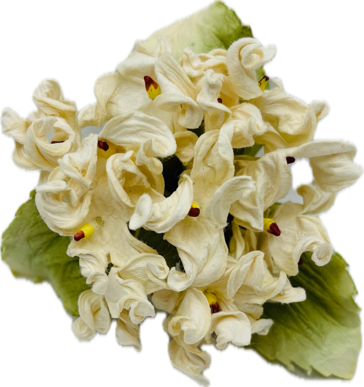 Ivy Hydrangea Flower Pin Brooch in Ivory