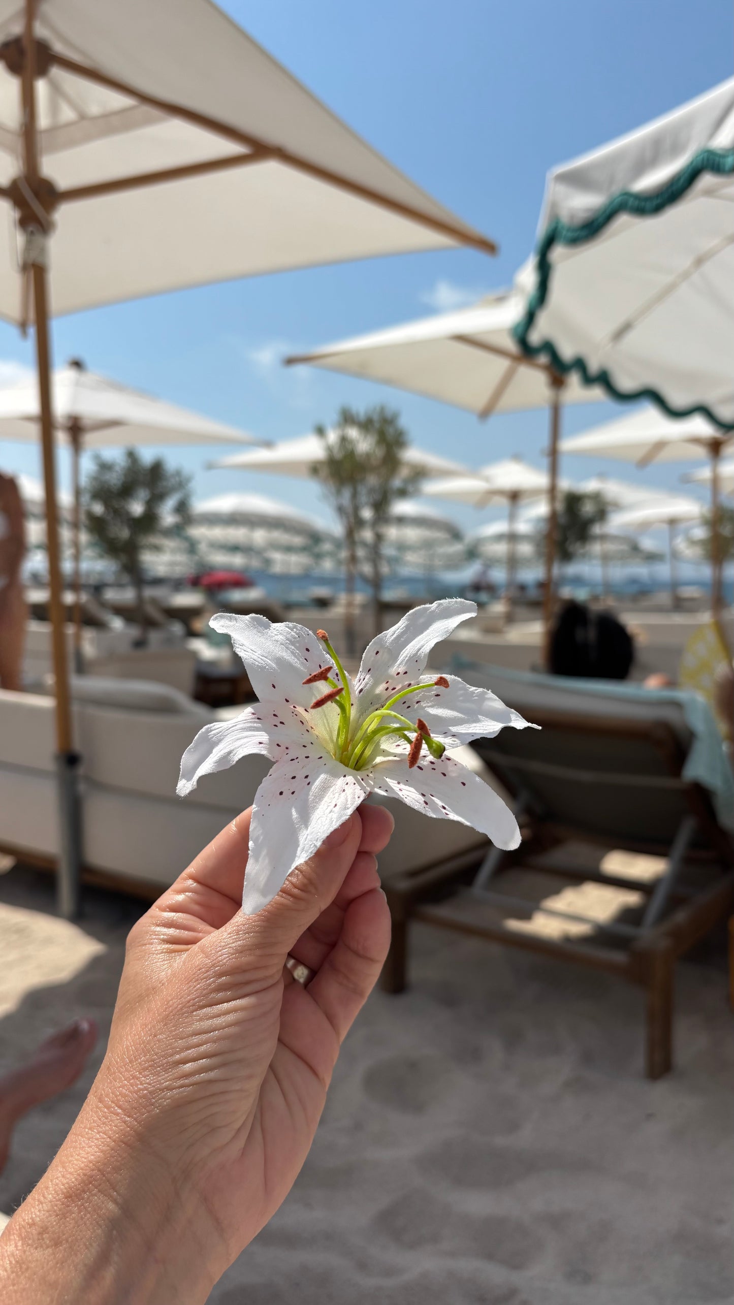 Karin's Garden Martha 3" White Life like Tiger Lily pinch clip.  Wear in your hair on your tropical vacation.  Clip to your sundress, wristlet, handbag or hat.  Life like & bendable petals.