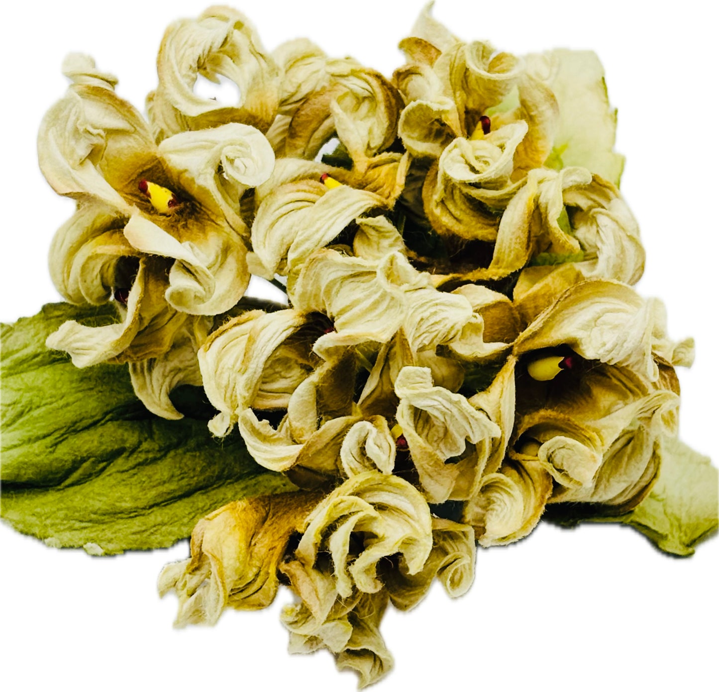 Ivy Hydrangea Flower Pin Brooch Taupe Ivory