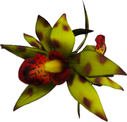 Karin's Garden "Isla" Olive Chic Look Mini Orchid Clip & Brooch
