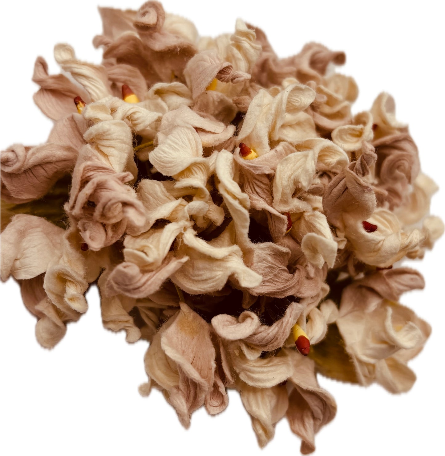 "Esme" Vintage Hydrangea Brooch & Clip 4".  Life Like Hydrangeas