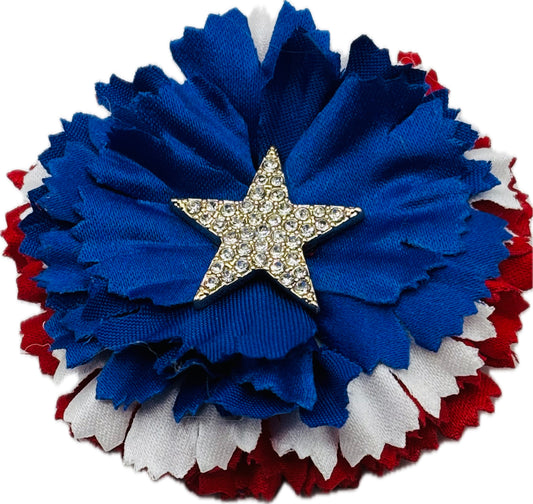USA Classic Silk Carnation with Star Crystal Center.  Both a  Brooch & Clip. Size 3” Made in the USA.  Clip into hair, onto necklace, dress, lapel, handbag & more.