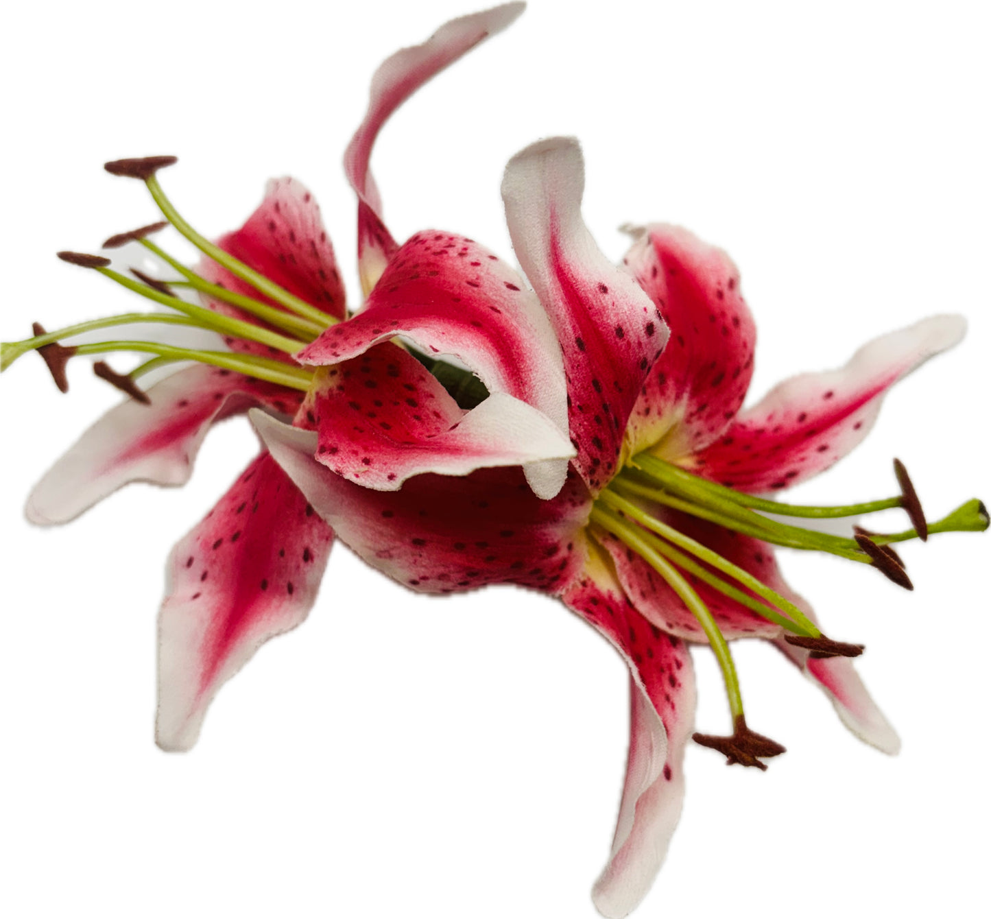 "Martha" Fuchsia Tropical Tiger Lily Hair Clip - French Metal 3" Auto Barrette
