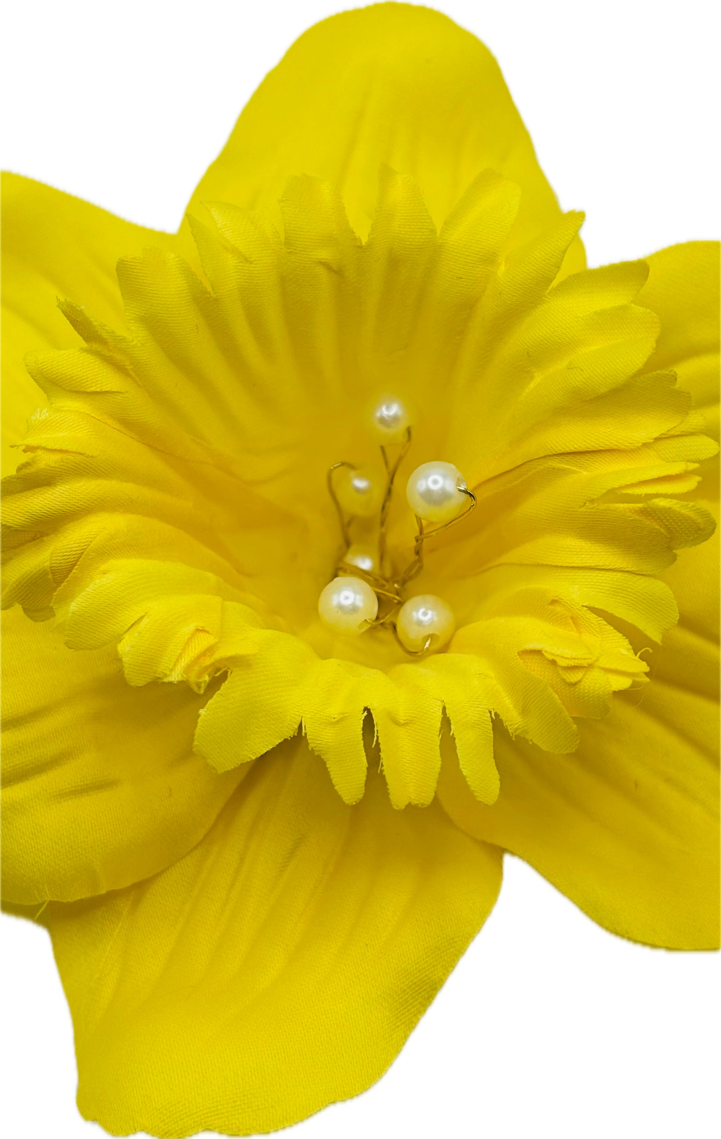 Daffodil 5" Pin or Clip into hair, onto dress, lapel, hat and more.