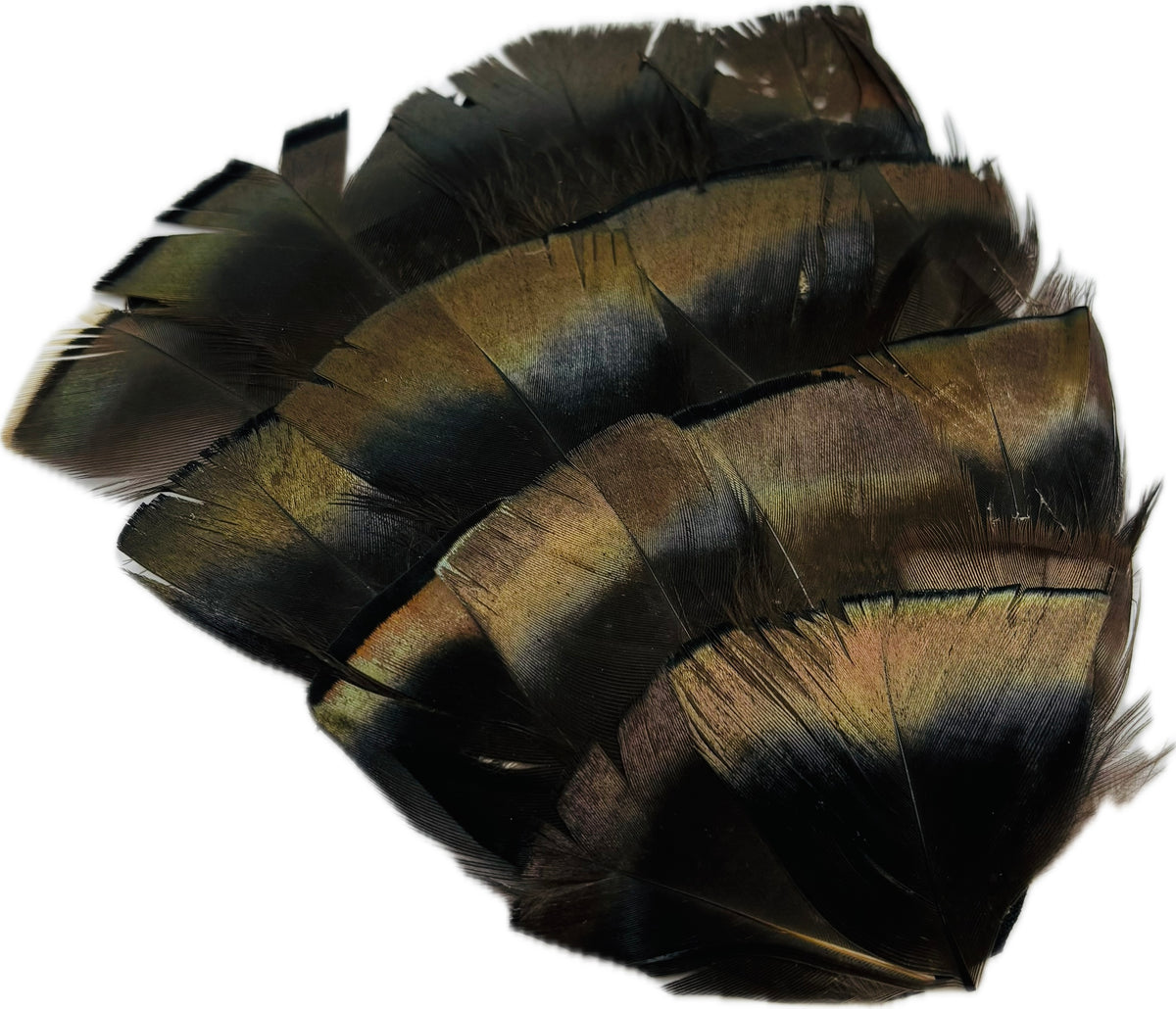 Garbo Iridescent Bronze & Black feather pin and clip front view on white