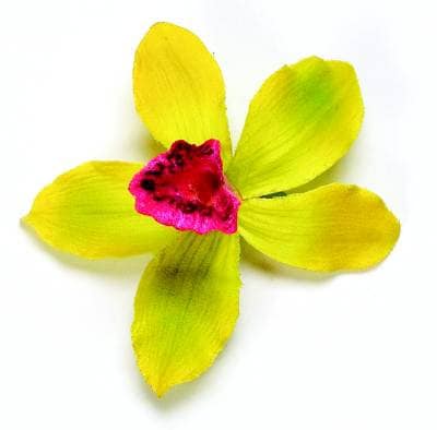 Karin's Garden 2" Mini Vanda Orchid pinch clip.  Easily clip into hair.  Enjoy on your tropical vacation.  Bendable Petals.  A top seller