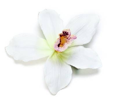 Karin's Garden 2" Mini Vanda Orchid pinch clip.  Easily clip into hair.  Enjoy on your tropical vacation.  Bendable Petals.  A top seller