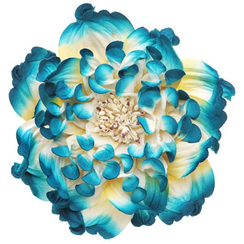 Karin's Garden 5" Peony Pin Brooch