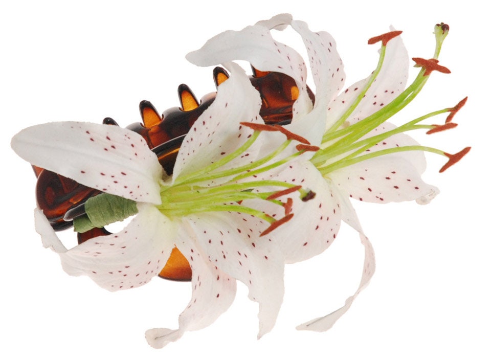 Karin's Garden 5" Tiger Lily French Jaw Clip.  Hair Clip.  Flower Hair Accessory.  Made in the USA.  Lifelike Lilies