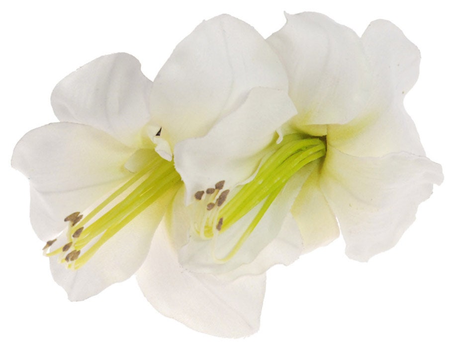 Karin's Garden 4" French Jaw Clip and  6" in length of Life Like Amaryllis Tropical Clip Flower Clip.  Comfortable Clip.  Made in the USA